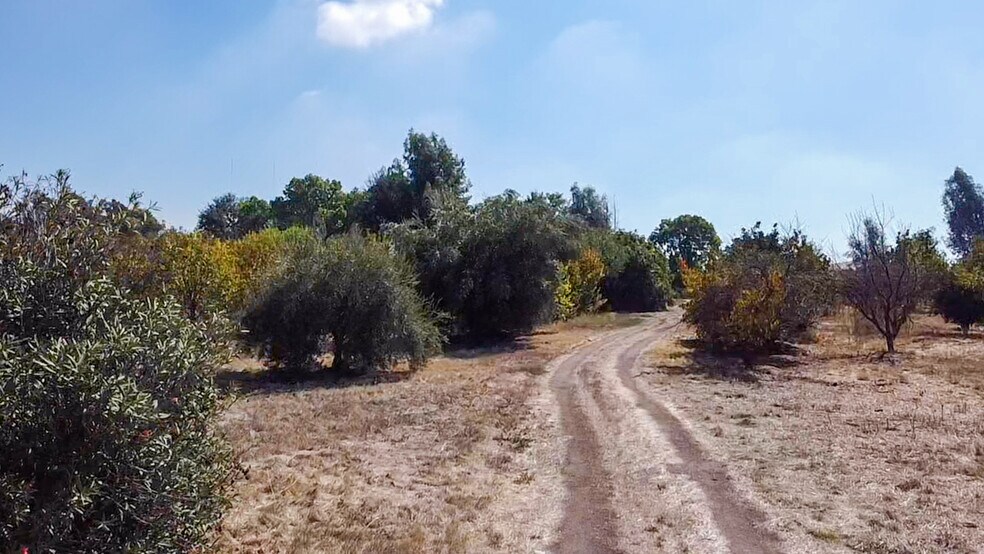 6391 E Copper Ave, Clovis, CA à vendre - Photo de l’immeuble – Image 2 sur 7