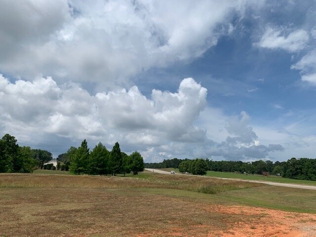 15414 Old Highway 5 S, Grove Hill, AL à vendre - Photo de l’immeuble – Image 3 sur 14