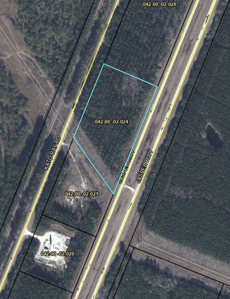 Kato Bay Rd, Hardeeville, SC à vendre - Aérien – Image 1 sur 4