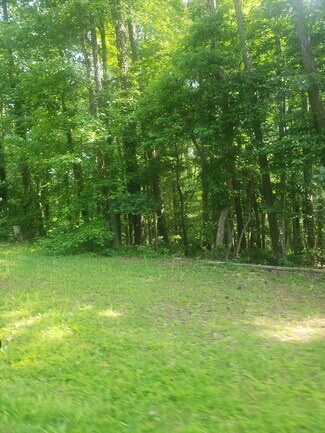 Plus de détails pour 694 Pine Needle, Hampton, GA - Terrain à vendre