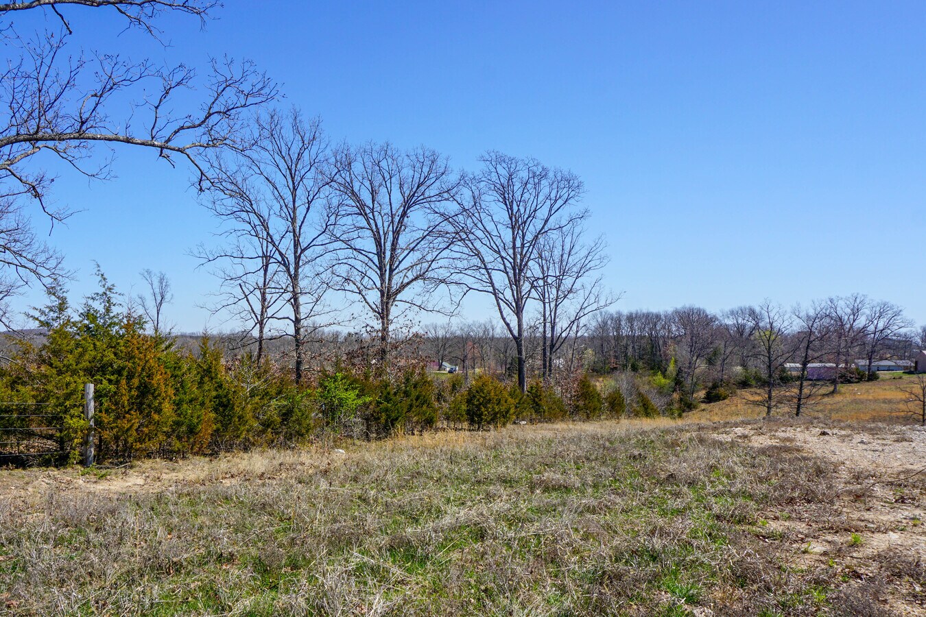 View Photo