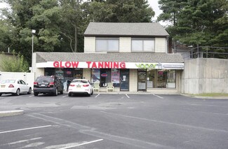Plus de détails pour 229 Smithtown Blvd, Nesconset, NY - Local commercial à louer