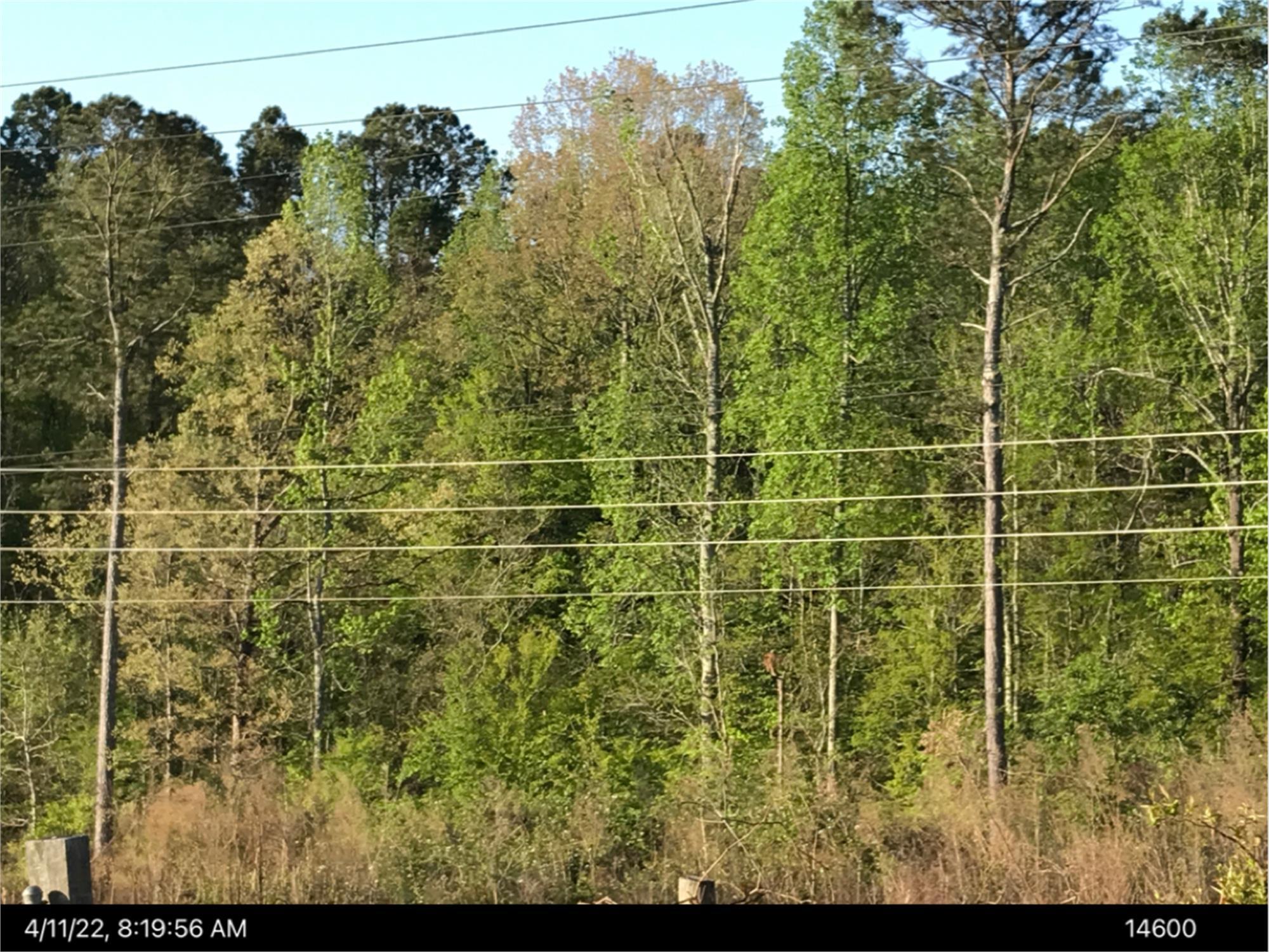 1975 Gray hwy, Macon, GA à vendre Autre– Image 1 sur 2