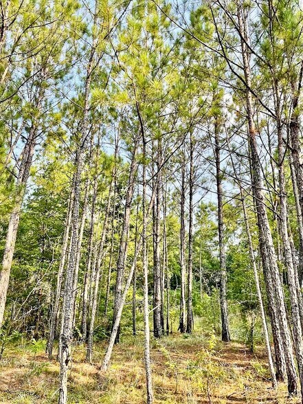 4476 Fulton Mill Rd, Macon-Bibb, GA à vendre - Photo de l’immeuble – Image 1 sur 10
