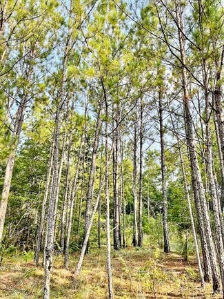 Plus de détails pour 4476 Fulton Mill Rd, Macon-Bibb, GA - Terrain à vendre