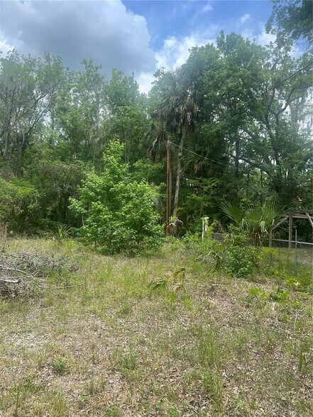 2614 CR 412, Lake Panasoffkee, FL à vendre - Autre – Image 3 sur 8