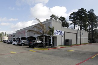 Plus de détails pour I-45 Medical & Retail Opportunity – à vendre, Spring, TX