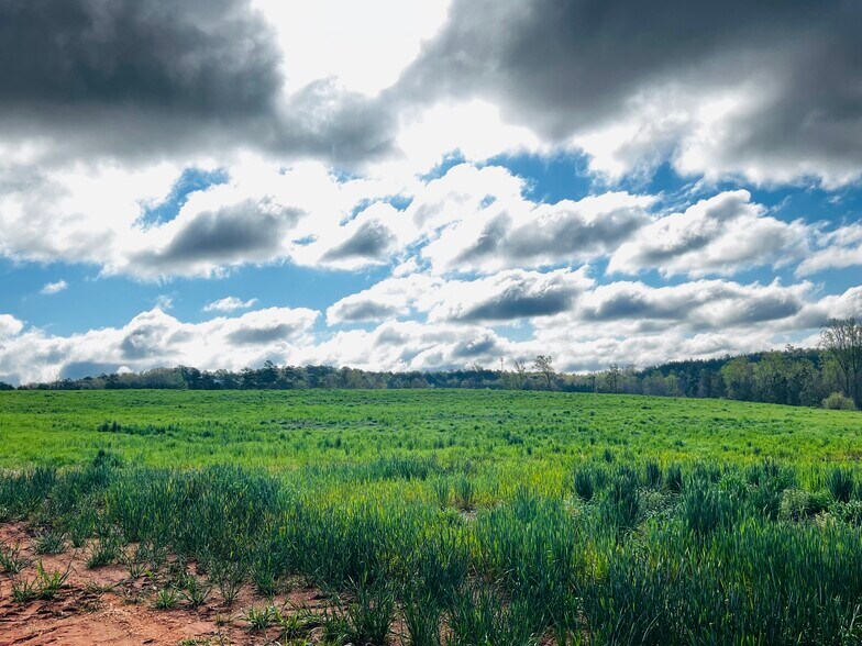 Anson High School, Wadesboro, NC à vendre - Photo de l’immeuble – Image 3 sur 5