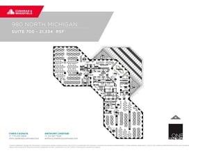 980 N Michigan Ave, Chicago, IL à louer Plan d’étage– Image 1 sur 1