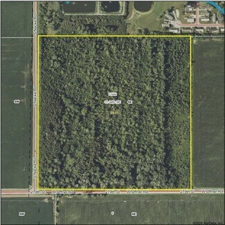Plus de détails pour W Offner Road, Beecher, IL - Terrain à vendre