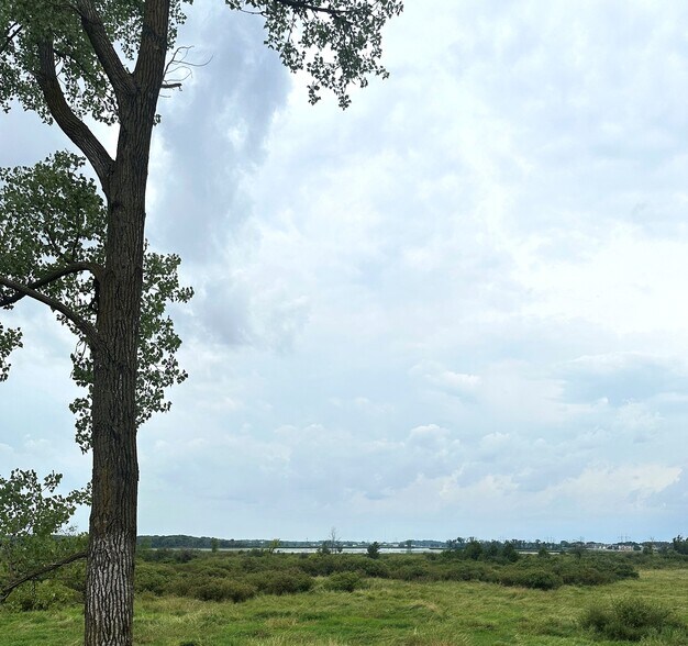 4012 Terminal Dr, McFarland, WI à louer - Autre – Image 2 sur 4