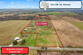 Plus de détails pour 311 County Road 18, Damon, TX - Terrain à vendre