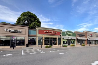 Plus de détails pour 140 Pine St, Hamburg, NY - Bureau/Local commercial, Local commercial à louer