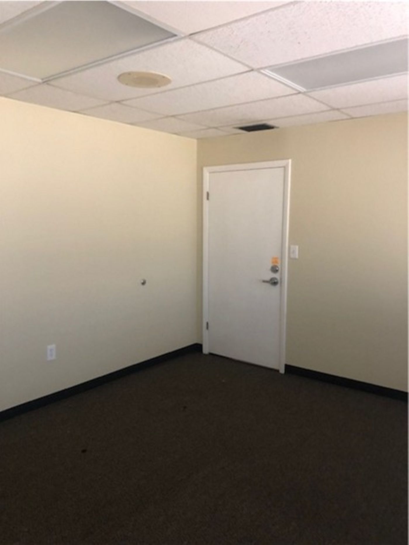 7211 N Dale Mabry, Tampa, FL à louer Photo intérieure– Image 1 sur 1
