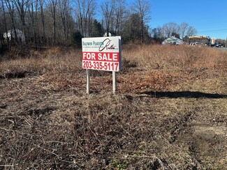 Plus de détails pour 288 S Main St, Newtown, CT - Terrain à vendre