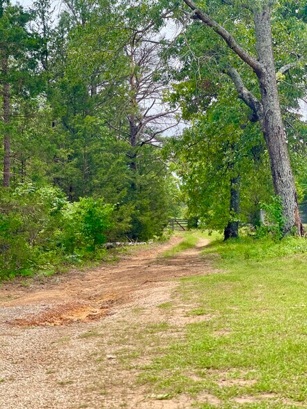 TBD County Road 336, Tyler, TX à vendre - Photo de l’immeuble – Image 1 sur 11
