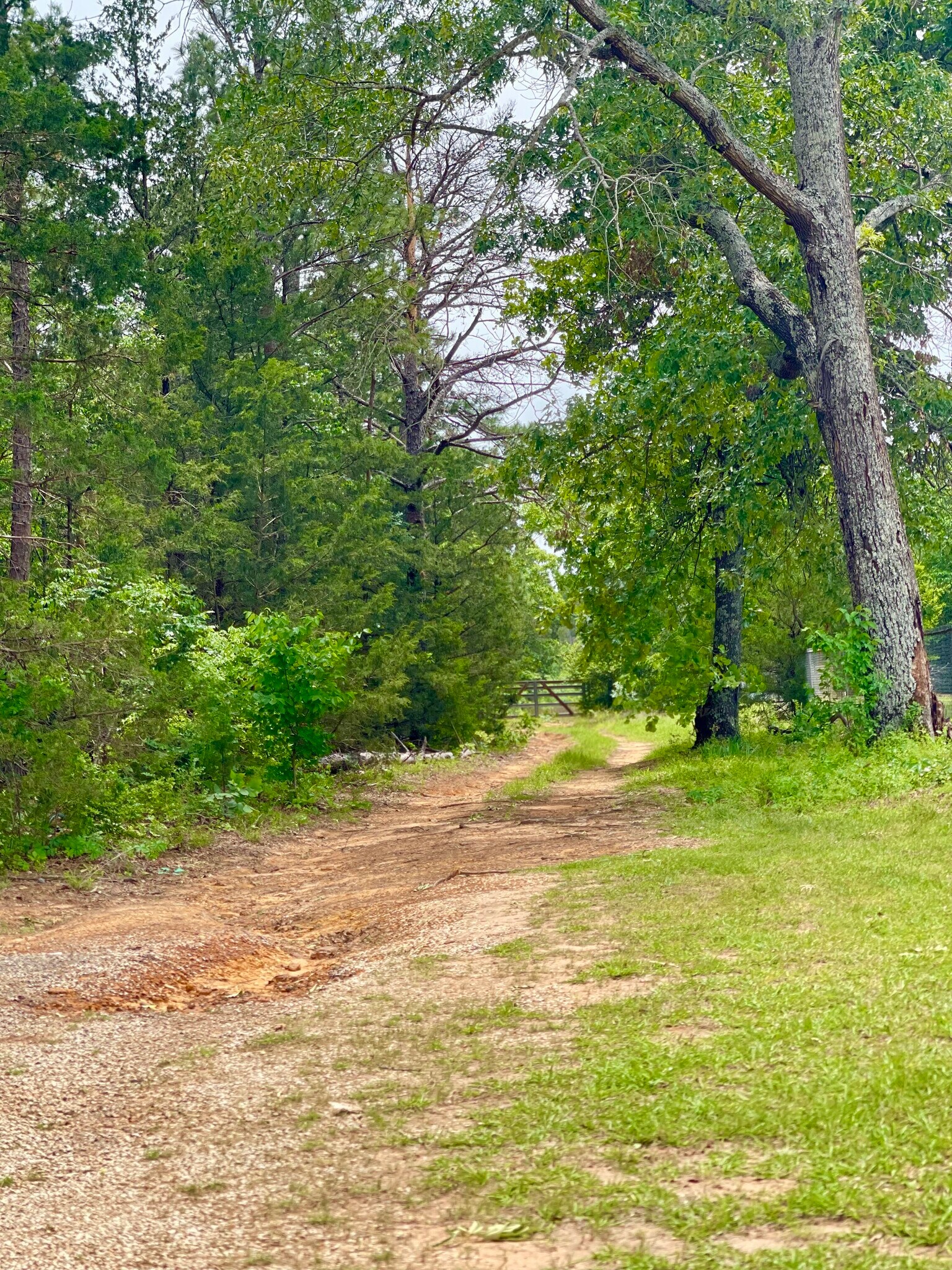 TBD County Road 336, Tyler, TX à vendre Photo de l’immeuble– Image 1 sur 12