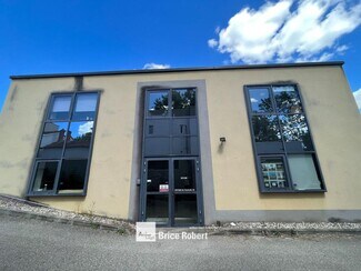 Plus de détails pour 14 Rue Des Aulnes, Champagne-au-Mont-d'Or - Local d’activités à vendre