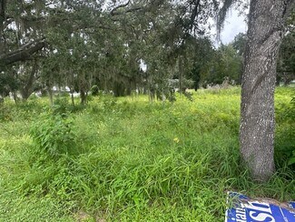 Plus de détails pour 0 Bloomingdale Ave & Hurley Rd, Valrico, FL - Terrain à vendre