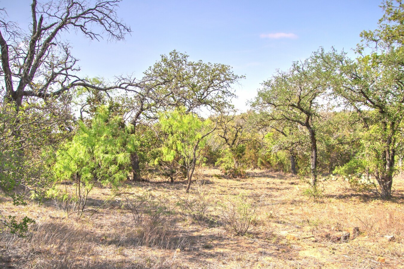 View Photo