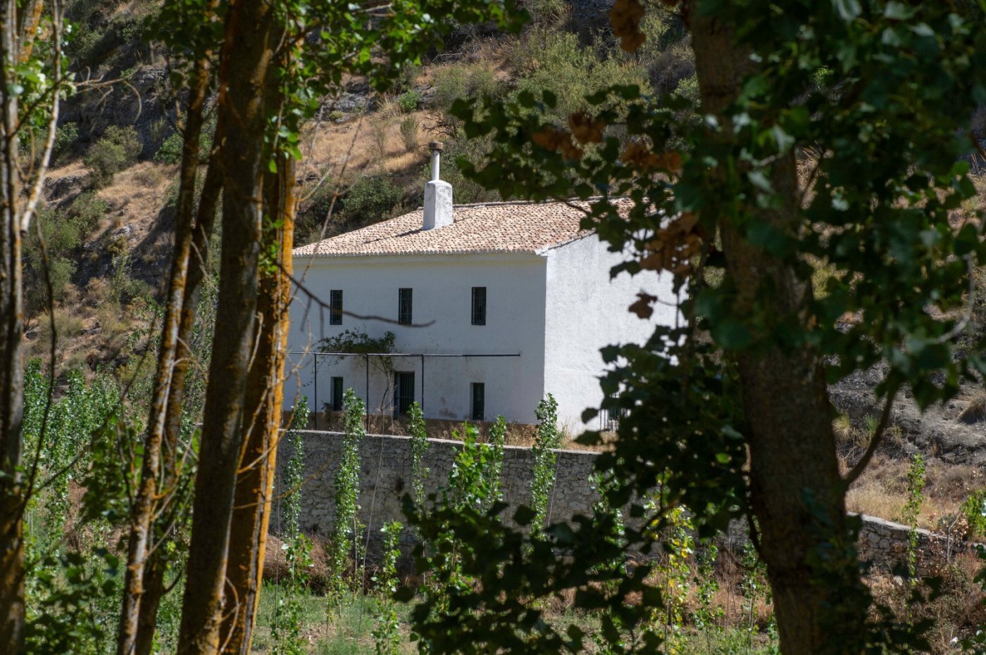 Terrain dans Alhama de Granada, Granada à vendre Photo de l’immeuble– Image 1 sur 50