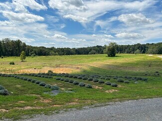 Plus de détails pour 361 County Road 170, Athens, TN - Terrain à vendre
