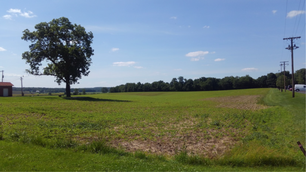 1699 Old Mansfield Rd, Wooster, OH à vendre - Autre – Image 3 sur 16