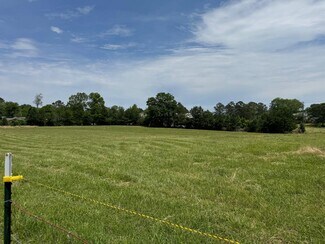 Plus de détails pour 158 Lumley Rd, Rainbow City, AL - Terrain à vendre