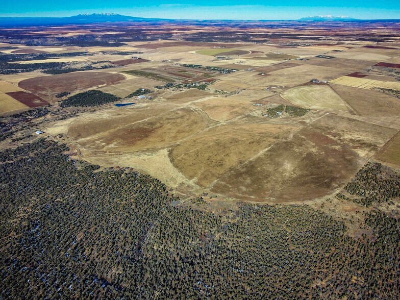 19234 Road 16 & 19444 Road 16.5 Rd, Yellow Jacket, CO à vendre - Photo de l’immeuble – Image 2 sur 37