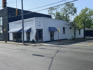 Plus de détails pour 249 Old Country Rd, Carle Place, NY - Local commercial à louer