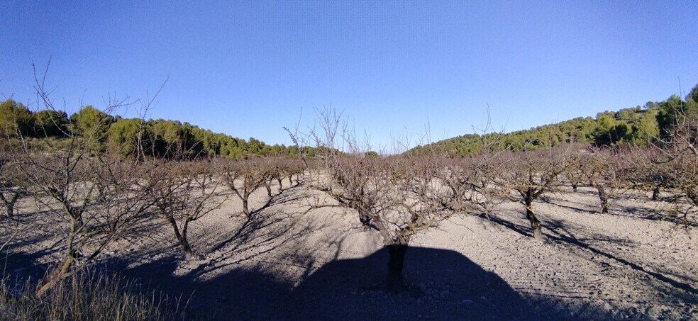 Terrain dans Moratalla à vendre - Photo de l’immeuble – Image 2 sur 50
