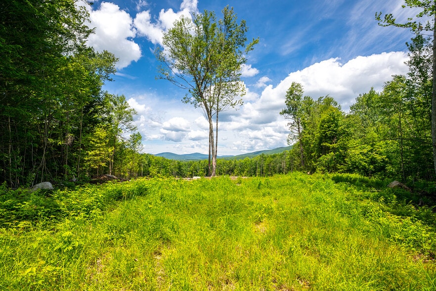 0 Little Pond Road, Andover, VT à vendre - Autre – Image 2 sur 11