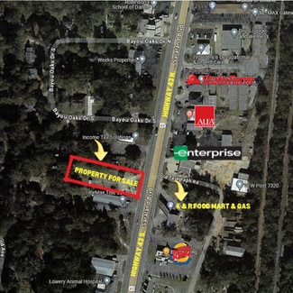 Plus de détails pour 319 Saraland Blvd N, Saraland, AL - Local commercial à vendre