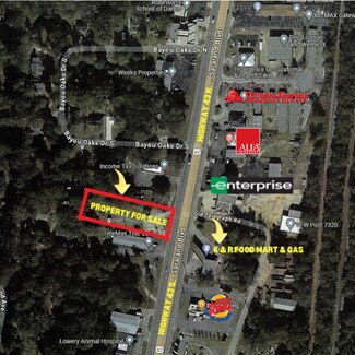 Plus de détails pour 319 Saraland Blvd N, Saraland, AL - Local commercial à vendre