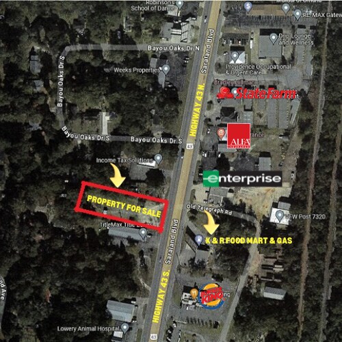 319 Saraland Blvd N, Saraland, AL à vendre Photo de l’immeuble– Image 1 sur 15