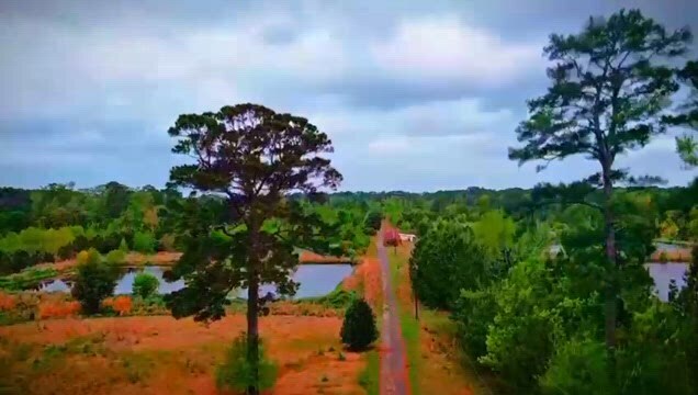 289 County Road 098, Jasper, TX à vendre - Vidéo sur l’annonce professionnelle – Image 2 sur 21