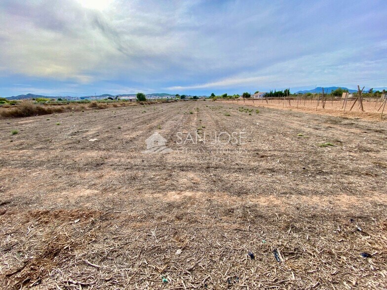Terrain dans Aspe, Alicante à vendre - Plan de site – Image 1 sur 5