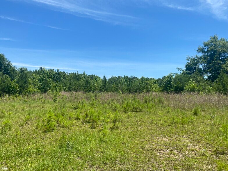 000 Mizell Road, Tuskegee, AL à vendre - Autre – Image 2 sur 9