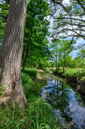 Plus de détails pour 114 Bledsoe Ranch Road, Center Point, TX - Terrain à vendre
