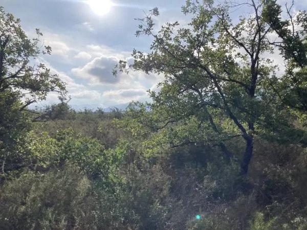 Terrain dans Villelongue-dels-Monts à vendre - Photo de l’immeuble – Image 2 sur 4
