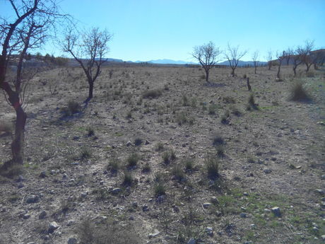 Terrain dans Calasparra, Murcia à vendre - Photo de l’immeuble – Image 2 sur 4