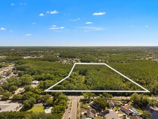Plus de détails pour 12591 Henderson Rd, Tampa, FL - Terrain à vendre