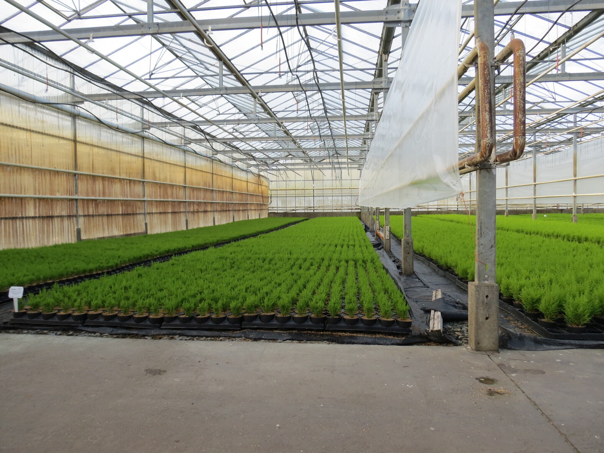 50284 Yale, Chilliwack, BC à vendre Photo de l’immeuble– Image 1 sur 13