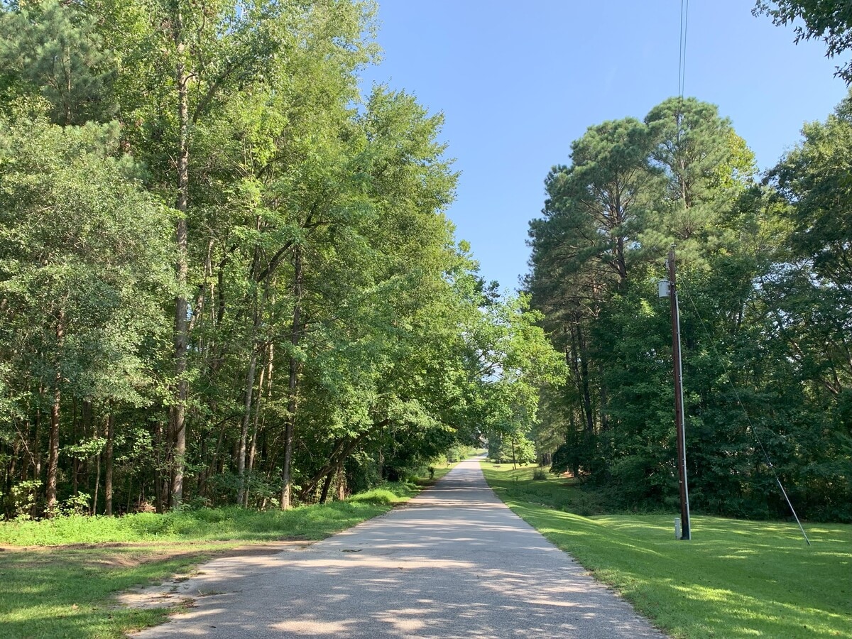View Photo