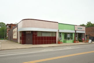 Plus de détails pour 4152-4156 3rd St, Detroit, MI - Local commercial à vendre