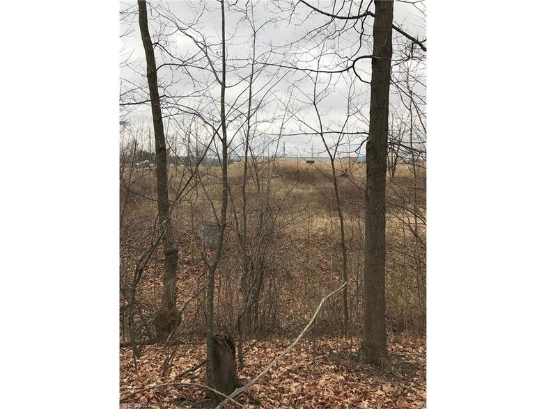 11925 Royalton Rd, North Royalton, OH à vendre - Photo de l’immeuble – Image 3 sur 8