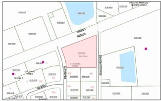 Plus de détails pour 7069 Crill Ave, Palatka, FL - Terrain à vendre