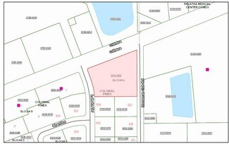 Plus de détails pour 7069 Crill Ave, Palatka, FL - Terrain à vendre
