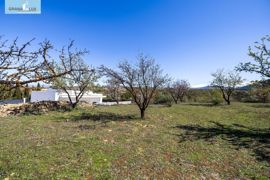 Nevada, 4, Dílar, Granada à vendre - Photo de l’immeuble – Image 3 sur 21