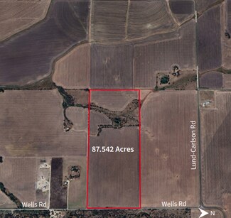 Plus de détails pour 16716 Wells Rd, Elgin, TX - Terrain à vendre